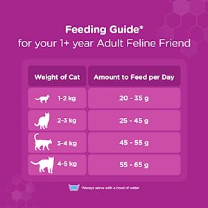 Whiskas Adult (+1 year) Dry Cat Food Food, Chicken Flavour