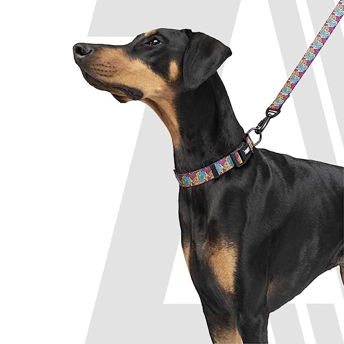 Zoomiez Bolt Printed Dog Collar