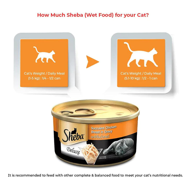 Sheba Succulent Chicken Breast in Gravy Adult Wet Cat Food