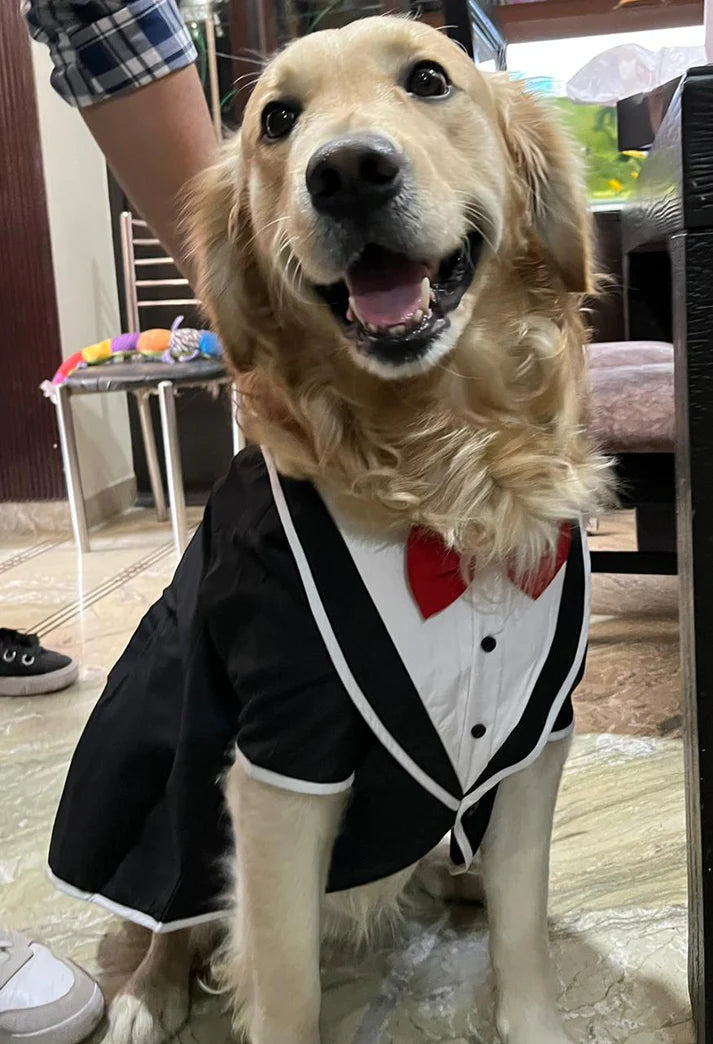 Dog O Bow - TUXEDO WITH SLEEVES- (S/XXL)