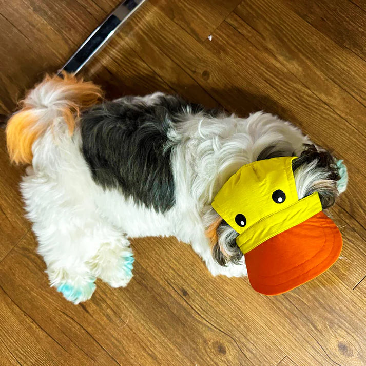 Dog O Bow- Duckie Cap - (S/L)