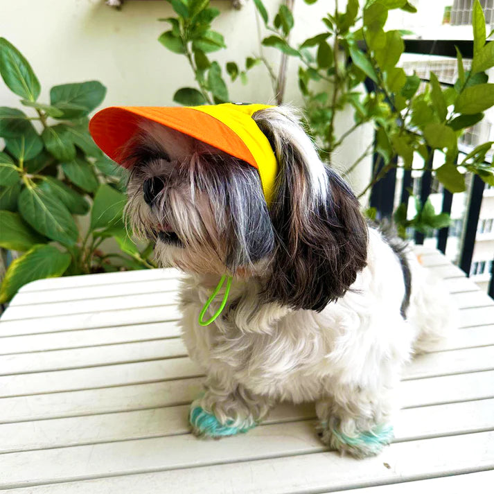 Dog O Bow- Duckie Cap - (S/L)