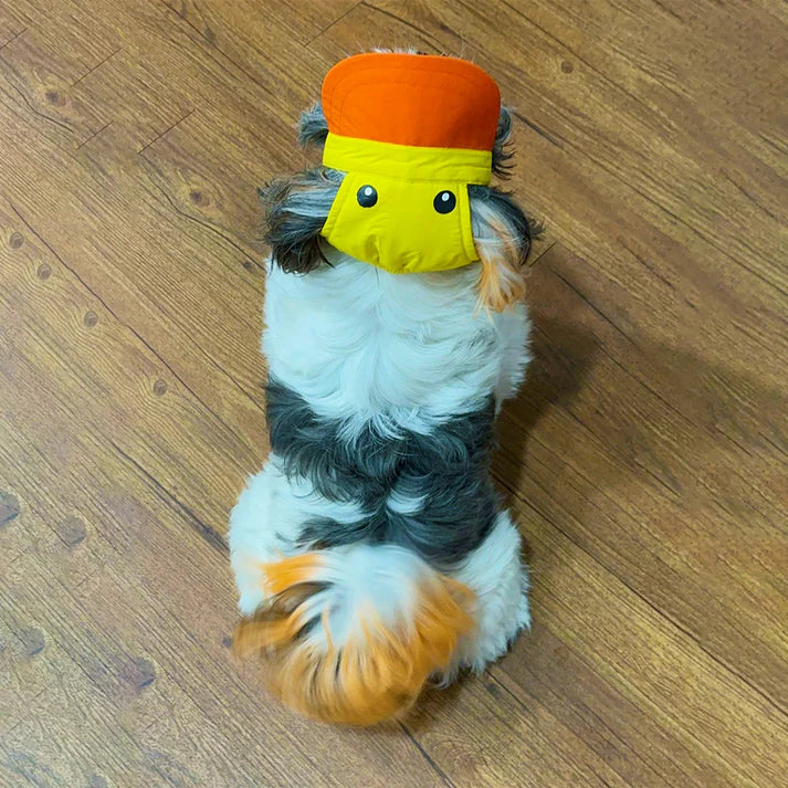 Dog O Bow- Duckie Cap - (S/L)