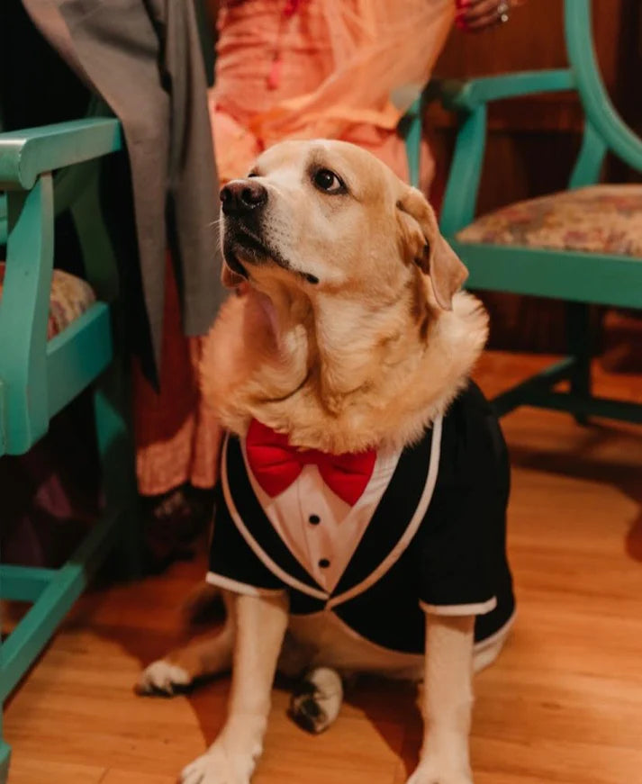 Dog O Bow - TUXEDO WITH SLEEVES- (S/XXL)