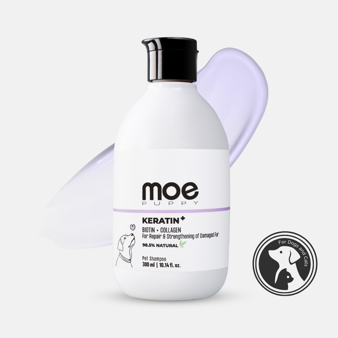 Keratin+Hairfall Shampoo For Dogs & Cats