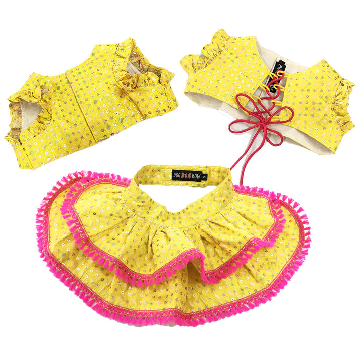 Dog O Bow Embroidered Lehenga Choli- (XS/S/M)