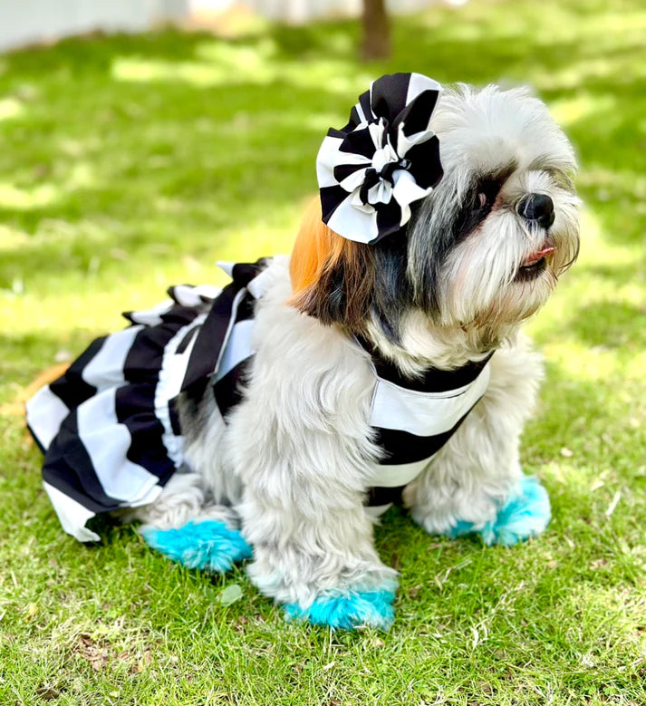 Dog O Bow Skirt-Top - (XS/S)