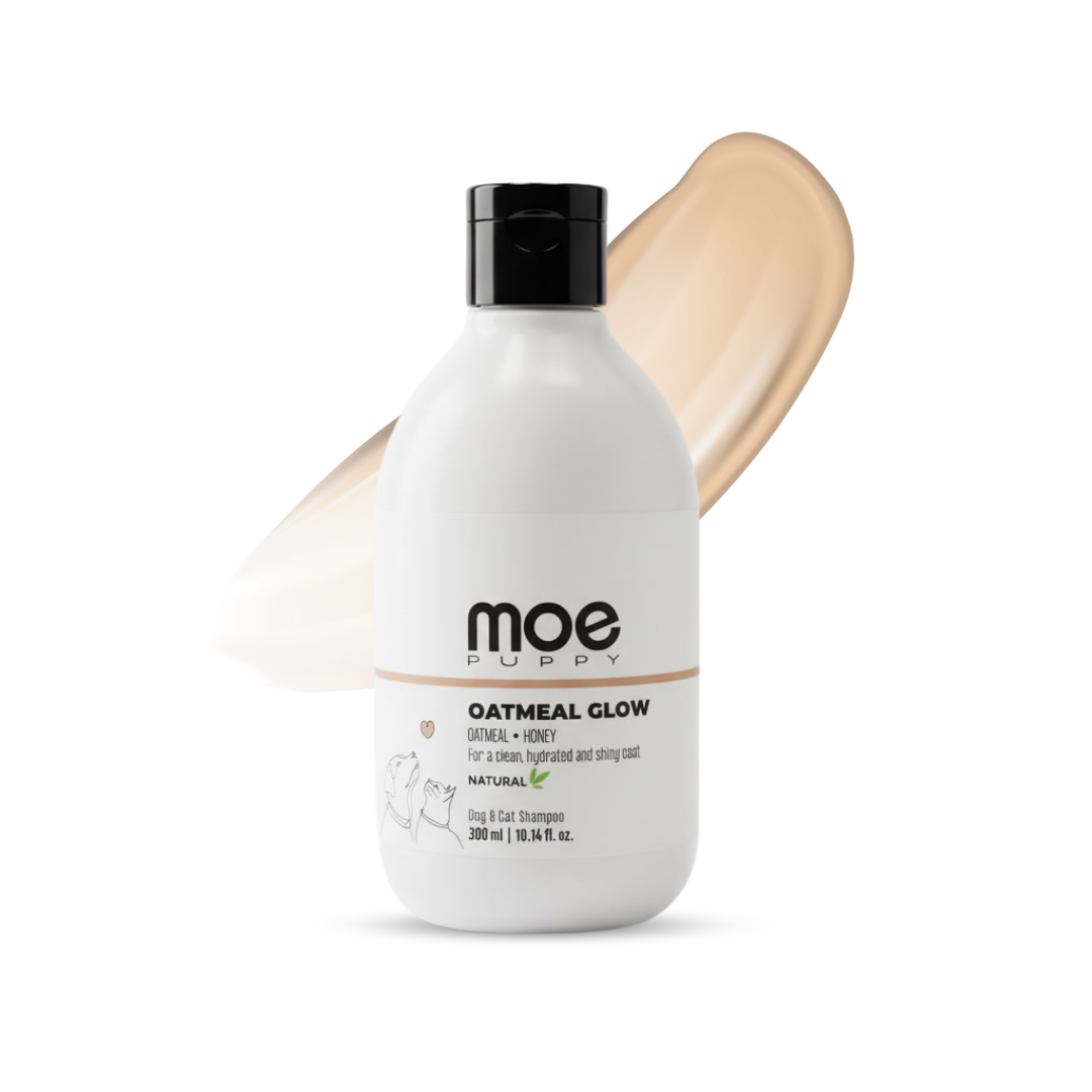 Oatmeal Glow Shampoo for Dogs & Cats