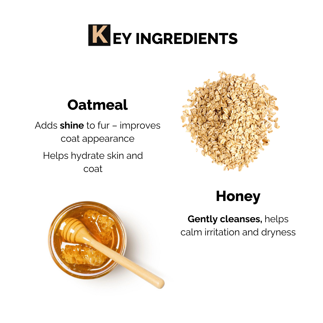 Oatmeal Glow Shampoo for Dogs & Cats