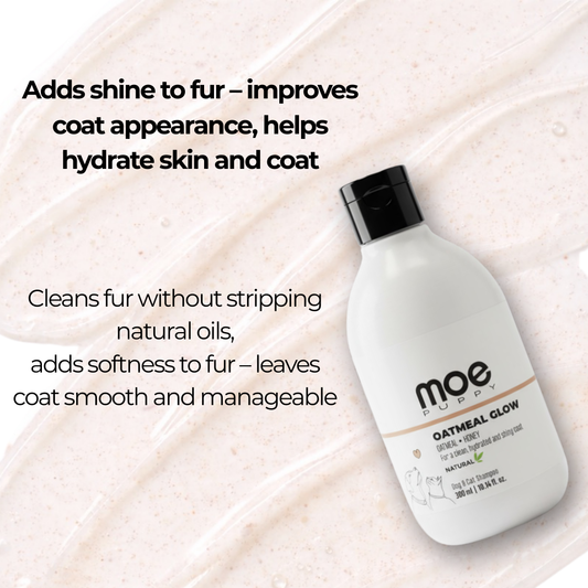 Oatmeal Glow Shampoo for Dogs & Cats
