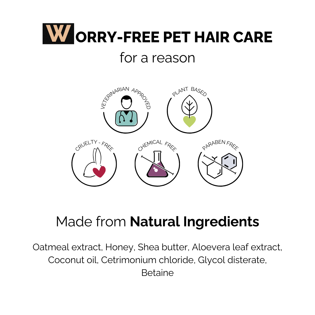 Oatmeal Glow Shampoo for Dogs & Cats