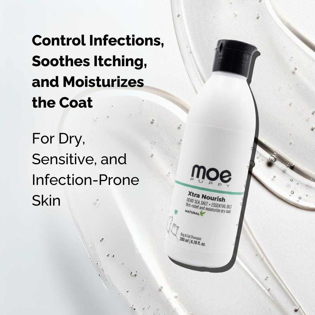 Xtra Nourish Medicated Shampoo Dogs/Cats
