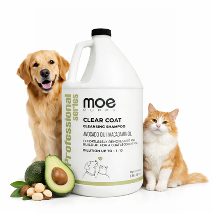Clear Coat - 1 Gallon (3.785 Ltr)- Moe Puppy