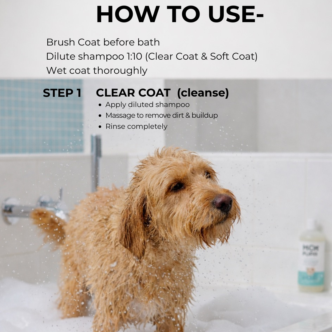 Clear Coat - 1 Gallon (3.785 Ltr)- Moe Puppy