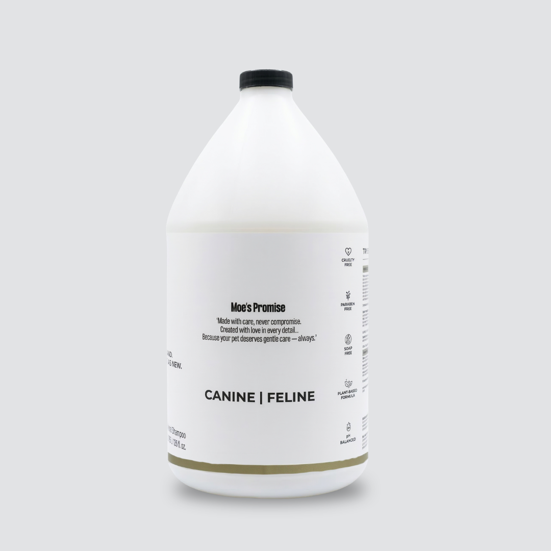 Miracle Shine Conditioner - 1 Gallon (3.785 Ltr)