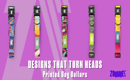 Zoomiez Drip Printed Dog Collar