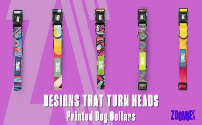 Zoomiez Bolt Printed Dog Collar