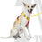 Zoomiez Printed H-Harness For Dogs - Solar