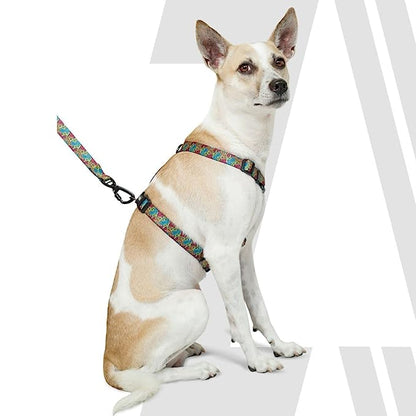 Zoomiez Printed H-Harness For Dogs - Bolt