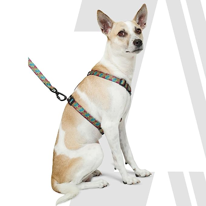 Zoomiez Printed H-Harness For Dogs - Bolt