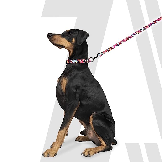 Zoomiez Drip Printed Dog Collar