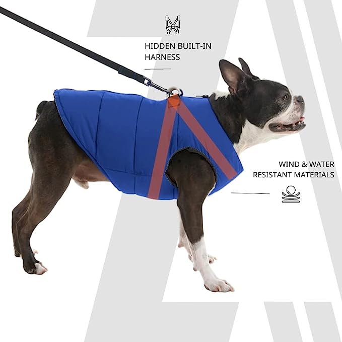 Zoomiez Ultimate Dog Jacket With Built in Harness