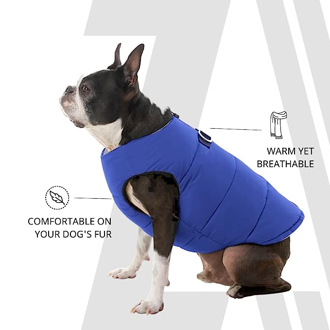 Zoomiez Ultimate Dog Jacket With Built in Harness