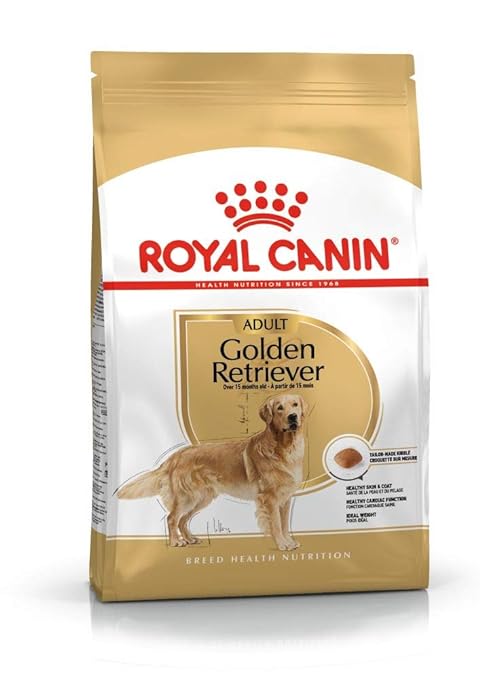 RC Golden Retriever Adult