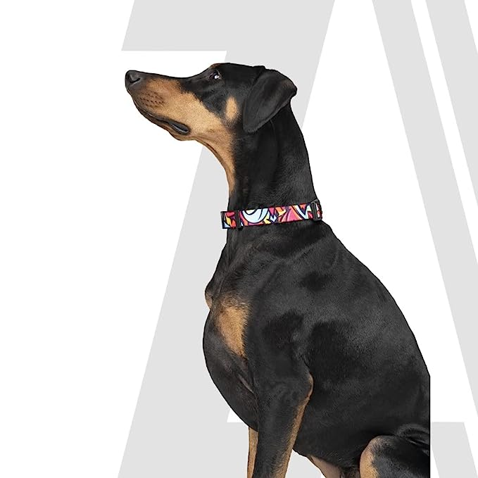 Zoomiez Drip Printed Dog Collar