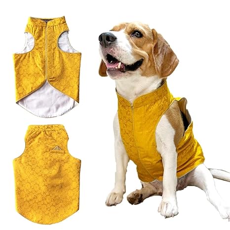 Dog O Bow Sherwani - (S/M/Xl/XXl)