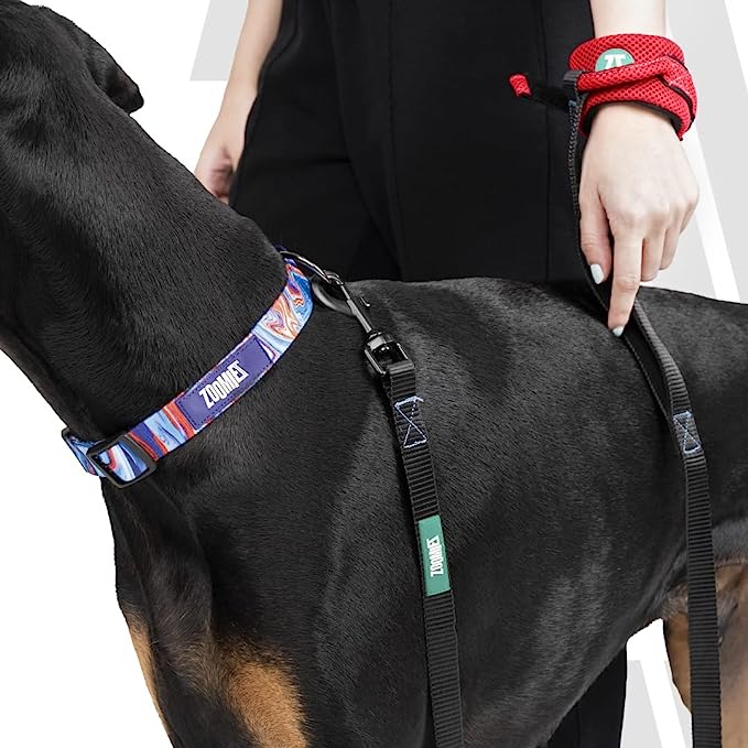 Zoomiez Hands-Free Dog Leash