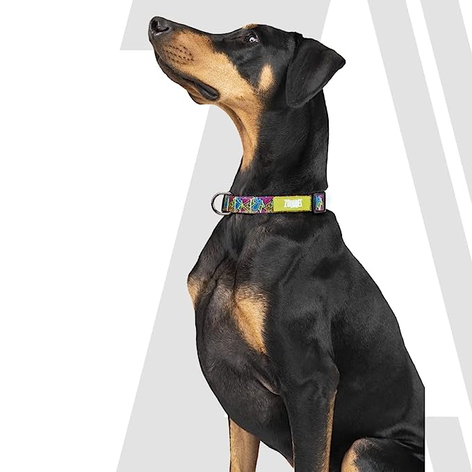 Zoomiez Bolt Printed Dog Collar