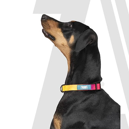 Zoomiez Solar Printed Dog Collar