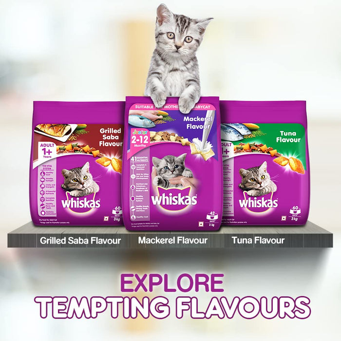 Whiskas Dry Cat Food for Adult Cats