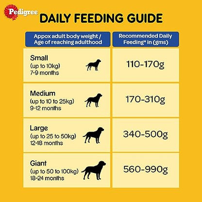 Pedigree Adult Dry Dog Food, Chicken & Vegetable, 370 g Pack