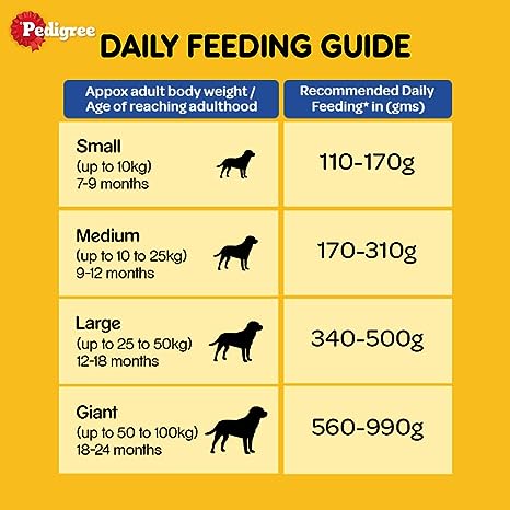 Pedigree Adult Dry Dog Food, Chicken & Vegetable, 370 g Pack