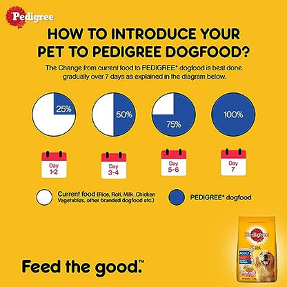 Pedigree Adult Dry Dog Food, Chicken & Vegetable, 370 g Pack