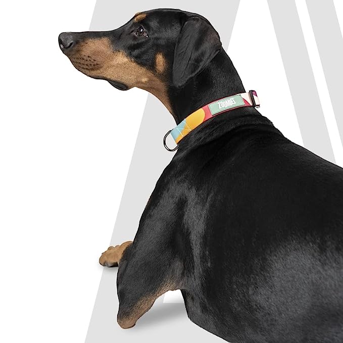 Zoomiez Swirl Printed Dog Collar