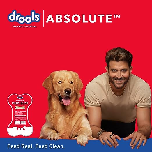 Drools Absolute Milk Bone Jar, Dog Treats for All Life Stages