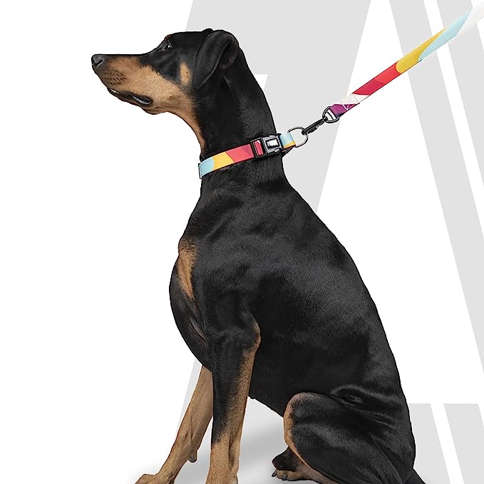 Zoomiez Swirl Printed Dog Leash