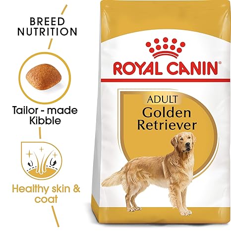 RC Golden Retriever Adult