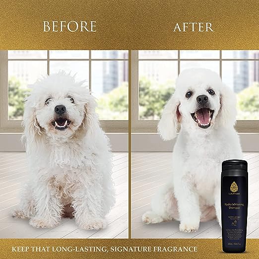 Hydra Luxury Care Whitening Pet Shampoo