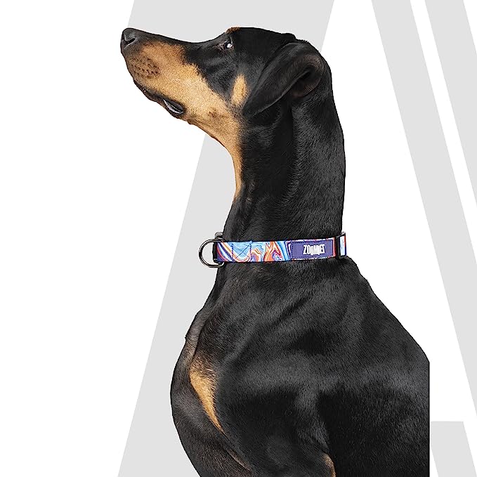 Zoomiez Fluid Printed Dog Collar