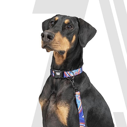 Zoomiez Fluid Printed Dog Collar