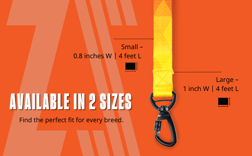 Zoomiez Solar Printed Dog Leash