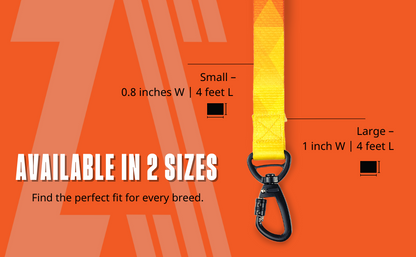Zoomiez Solar Printed Dog Leash