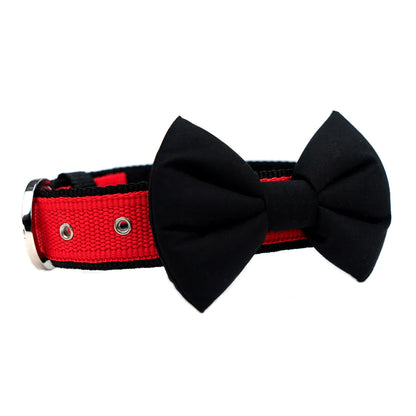 Dog O Bow Bow Collar- (XS/S/M/L)