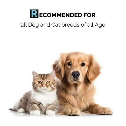 Dental Spray for Dogs & Cats