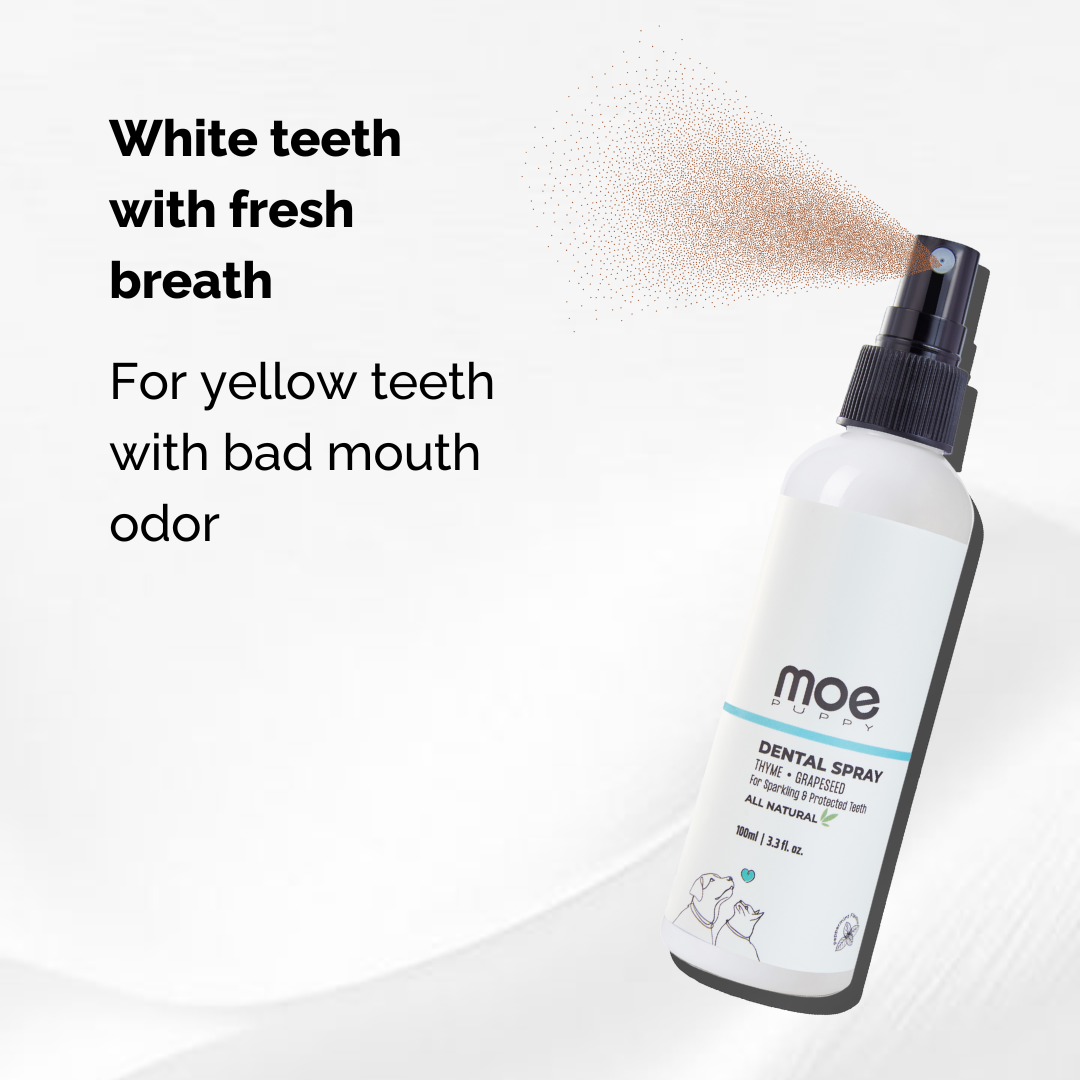Dental Spray for Dogs & Cats