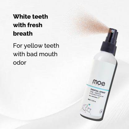 Dental Spray for Dogs & Cats